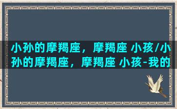 小孙的摩羯座，摩羯座 小孩/小孙的摩羯座，摩羯座 小孩-我的网站